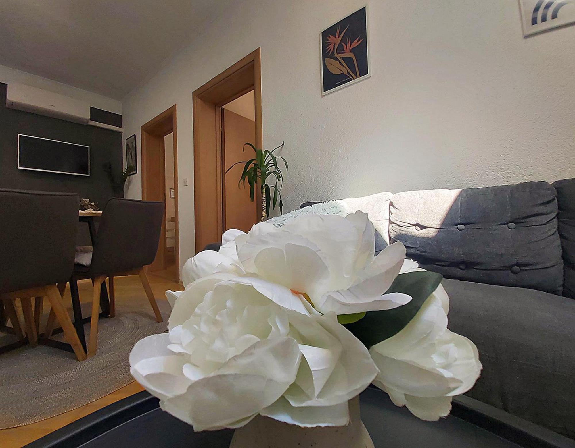 Zara Apartment With Terrace Near Old Town Mostar Extérieur photo